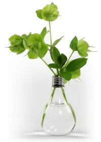 greenbulb - vase in glhlampenform