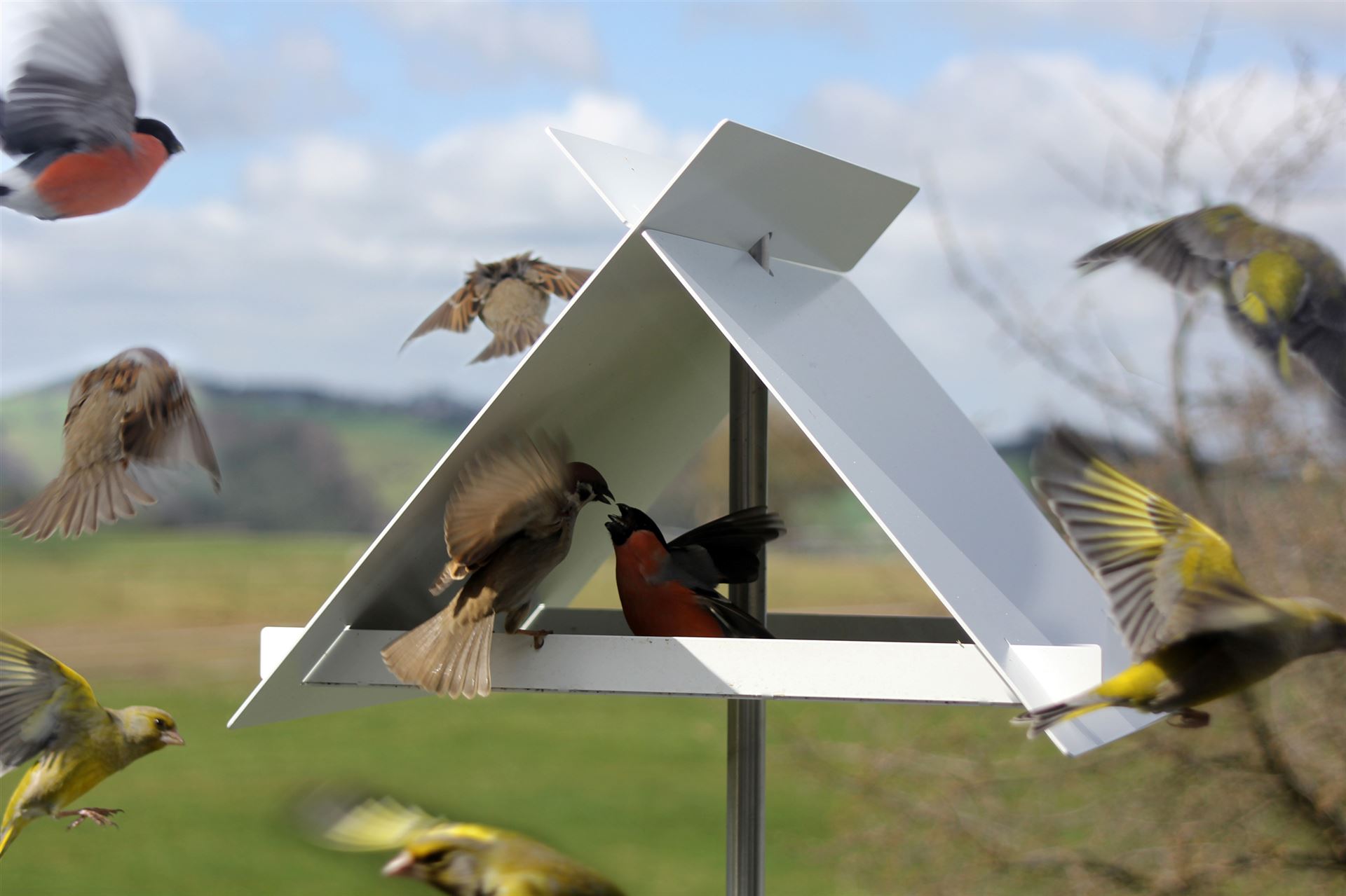 Birdhouses, birdbaths, garden and home accessories - all in