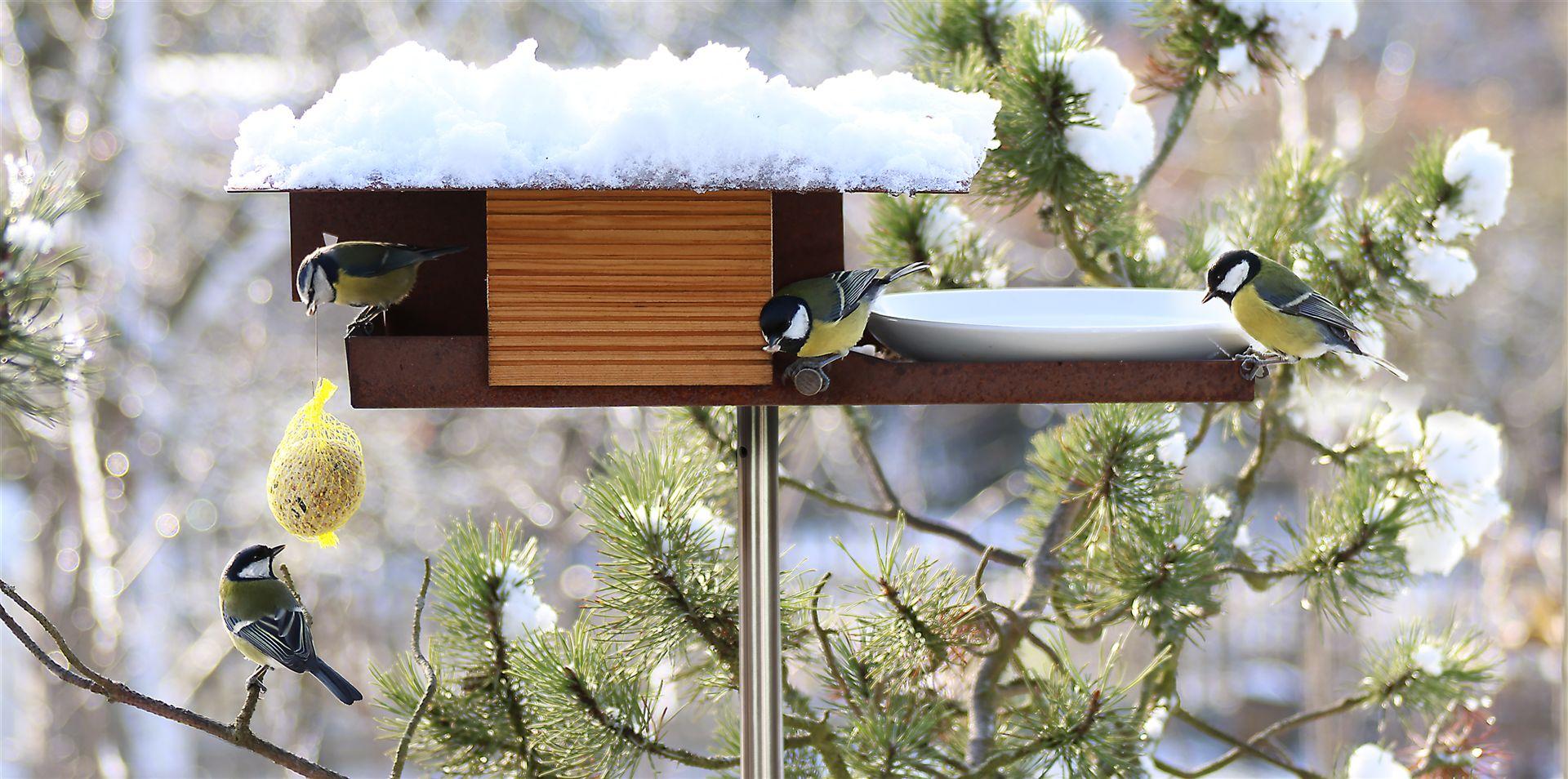 Bird-Feeder-Corten steel-VHT-15-R-Winter