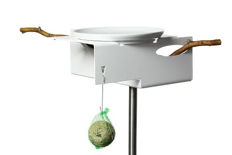 vogelimbiss im modernen design mit porzellanschalen und mesienknödel