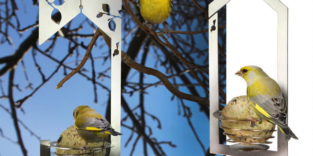 Meisenknödelhalter-vorschau